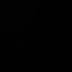 Meet your Posher, Shanell